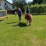 phoca_thumb_m_ponk 17 Fotogalerie